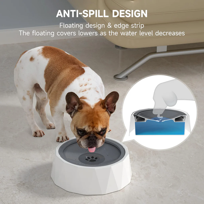 Anti Spill Bowl