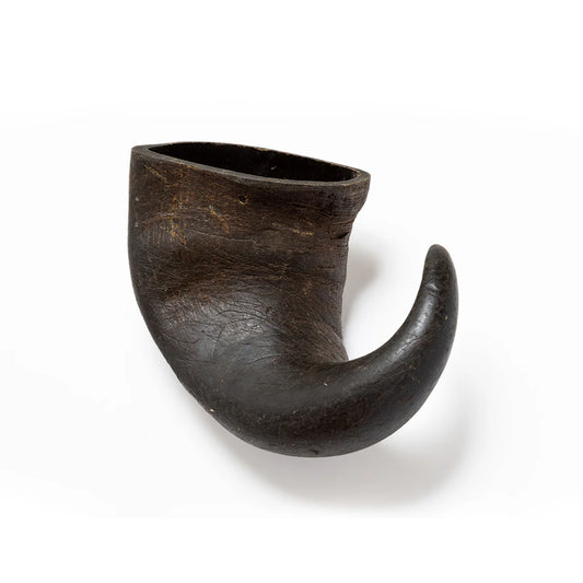 Buffalo Horn, Medium