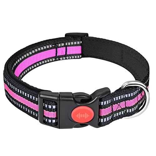 Dog Collar