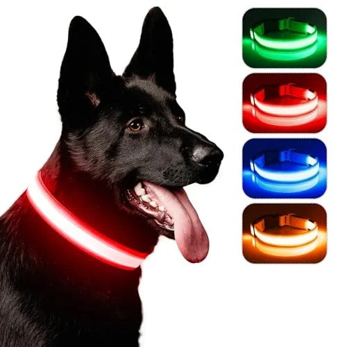 LED Dog Collar, USB Rechargeable