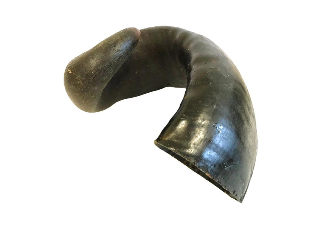 Buffalo Horn