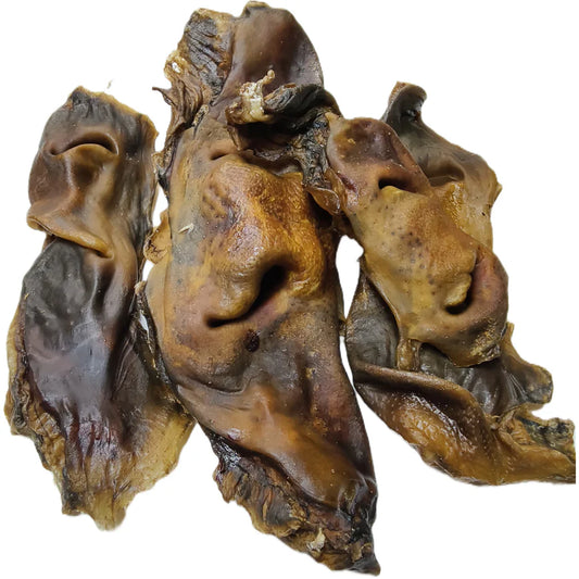 Cow Nose