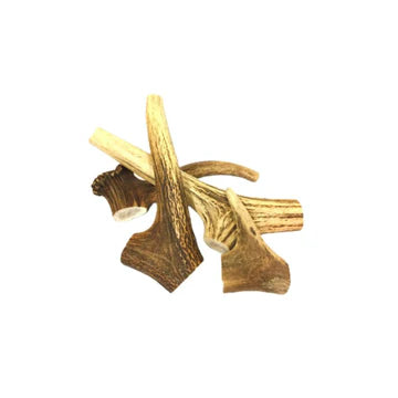 Deer Antler Medium