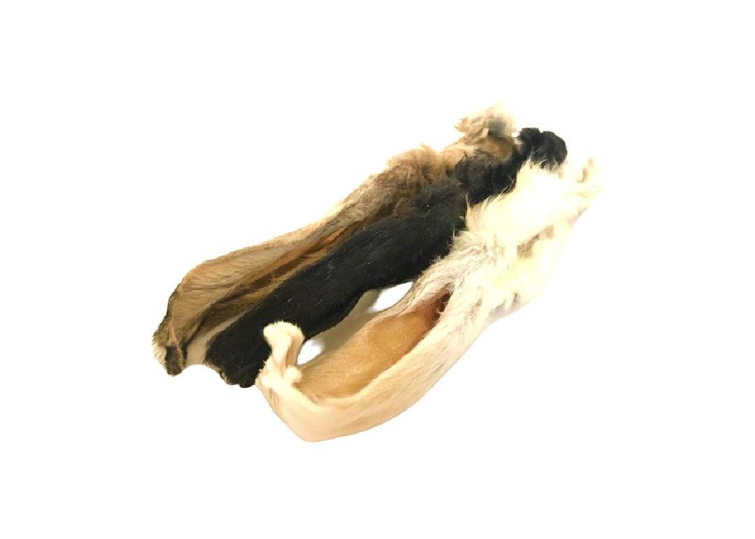 Hairy Rabbit Ears (Bag of 10)