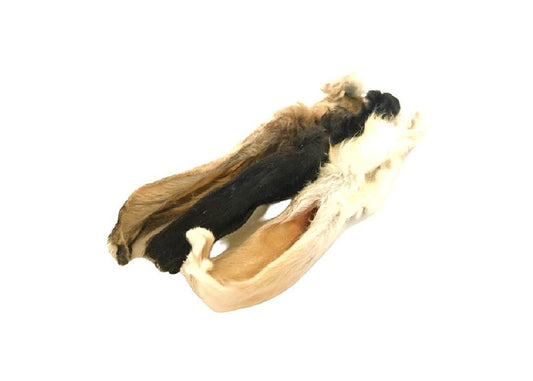 Hairy Rabbit Ears (Bag of 10)